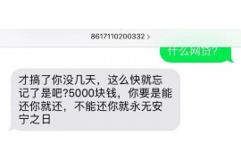 湖州如何避免债务纠纷？专业追讨公司教您应对之策